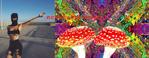 марки lsd Бородино